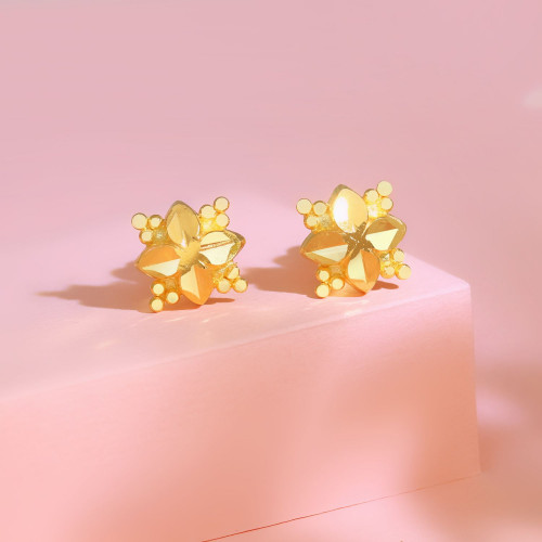 Starlet Gold Studs Earring ERNOB22822