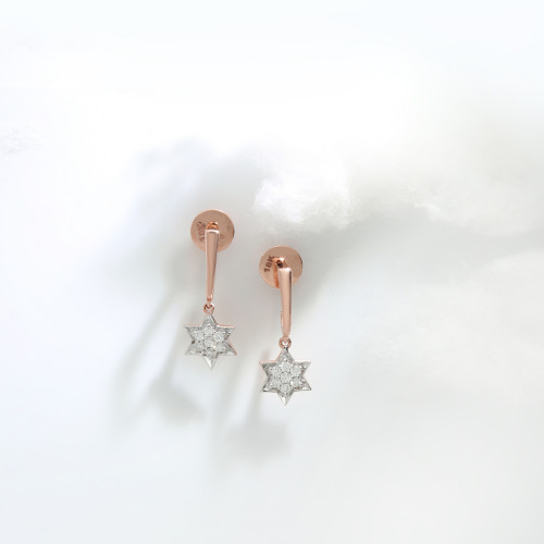 Mine Diamond Earring ERSTR10009