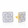 Mine Diamond Earring BE59584