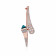 Caliesta Gold Oval Bangle BNDZL46057
