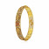 Divine Gold Bangle BNNGS42022