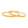 Starlet Gold Bangle Set BSBNZNS41736