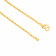Malabar 22 KT Gold Studded Handcrafted Chain CHTNHMA102