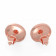 Malabar 18 KT Rose Gold Studded Earring DZERSFP1095DZ