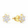 Mine Diamond Studded Studs Gold Earring E59845A