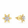 Mine Diamond Studded Studs Gold Earring EAR3219