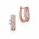 Mine Diamond Earring ERALR21353