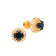 Precia Gemstone Earring ERDZL21181