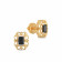 Precia Gemstone Earring ERDZL21197