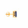 Precia Gemstone Gold Earring ERDZL21854