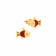 Starlet Gold Studs Earring ERDZL30230