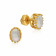 Precia Precious Earring ERDZL45130