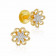 Mine Diamond Earring ERGEN13422