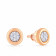 Mine Diamond Studded Gold Studs Earring ERGEN13423