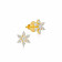 Mine Diamond Earring ERGEN13721