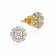 Mine Diamond Earring ERGEN14025