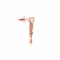 Mine Diamond Earring ERGEN15059