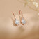 Mine Diamond Earring ERGEN22992