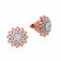Mine Diamond Earring ERHRM10079