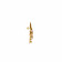 Ethnix Gold Earring ERNKANC13991