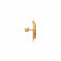 Divine Gold Earring ERNKNGS53595