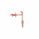 Caliesta Gold Earring ERPDDZL41609