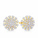Mine Diamond Studded Gold Studs Earring ERPDGEN11113