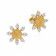 Mine Diamond Earring ERPDHRT11459