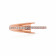 Zoul Gold Ring FRDZL10031