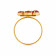 Precia Gemstone Ring FRDZL46651