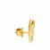 Malabar 22 KT Gold Studded Earring MGFDZEG0025