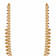 Malabar Gold Necklace NKCHT42813