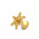 Malabar Gold Screw Nosepin NPFJDZ0017