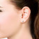 Malabar 18 KT Rose Gold Studded Earring PDER0196DZ