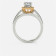 Mine Solitaire Multicolour Gold Ring Mount PMRRG2597WY