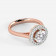 Mine Solitaire Rose Gold Ring Mount R-551165R