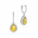 Mine Diamond Earring MLUSPR005ER6