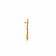 Divine Gold Earring EG1799627