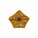 Ethnix Gold Ring USFR-245426