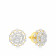 Mine Diamond Earring MGNGEN293ER1